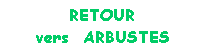 Zone de Texte: RETOUR
vers ARBUSTES