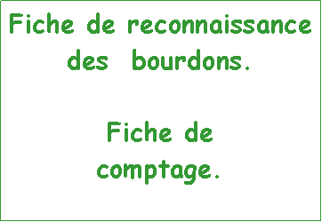 Zone de Texte: Fiche de reconnaissance des bourdons.
Fiche de
comptage.