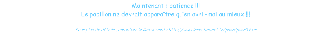 Zone de Texte: Maintenant : patience !!!
Le papillon ne devrait apparaître qu’en avril-mai au mieux !!!
Pour plus de détails , consultez le lien suivant : http://www.insectes-net.fr/paon/paon3.htm