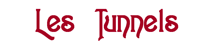 Zone de Texte: Les Tunnels