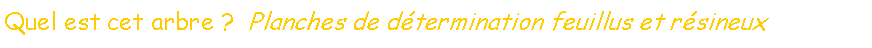 Zone de Texte: Quel est cet arbre ?  Planches de dtermination feuillus et rsineux
