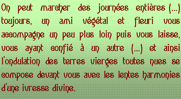 Zone de Texte: On  peut  marcher  des  journes  entires () toujours, un ami vgtal et fleuri vous accompagne un peu plus loin puis vous laisse, vous ayant confi  un autre () et ainsi londulation des terres vierges toutes nues se compose devant vous avec les lentes harmonies dune ivresse divine.