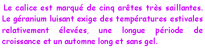 Zone de Texte:  Le calice est marqu de cinq artes trs saillantes. Le granium luisant exige des tempratures estivales relativement leves, une longue priode de croissance et un automne long et sans gel. 