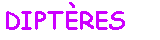 Zone de Texte: DIPTRES