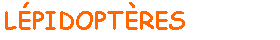 Zone de Texte: LPIDOPTRES