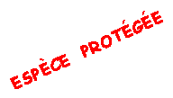 Zone de Texte: ESPCE  PROTGE